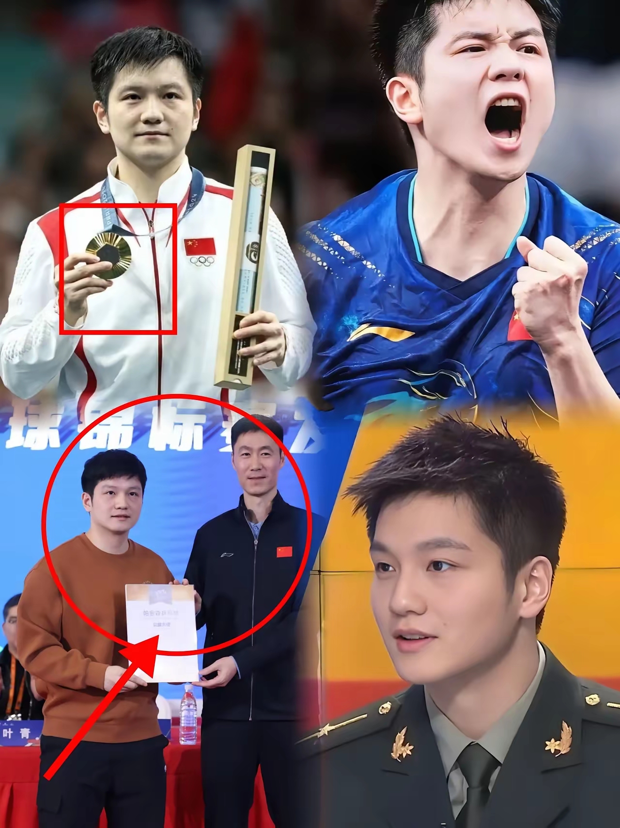 韩国乒乓球队轻取法国乒乓球队,樊振东打破历史纪录 韩国乒乓球队轻取法国乒乓球队,樊振东打破历史纪录