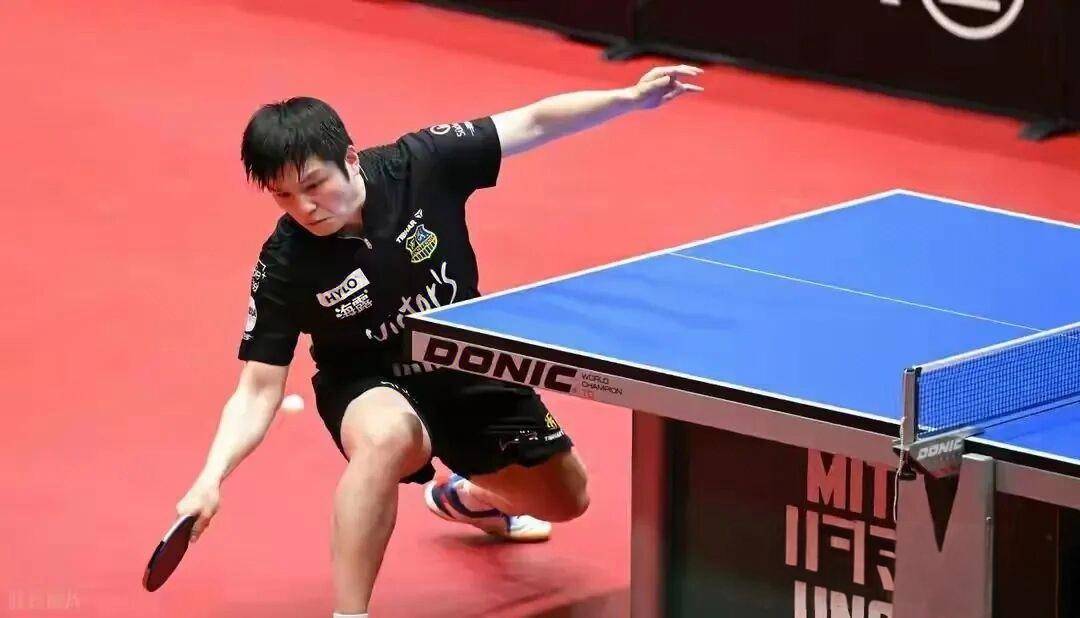 奥地利队横扫葡萄牙队，樊振东点燃赛场