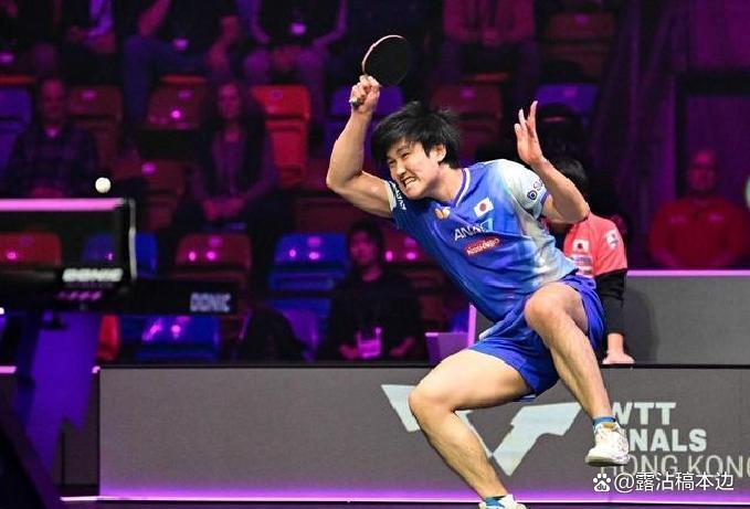 波兰队碾压德国队，张本智和关键制胜