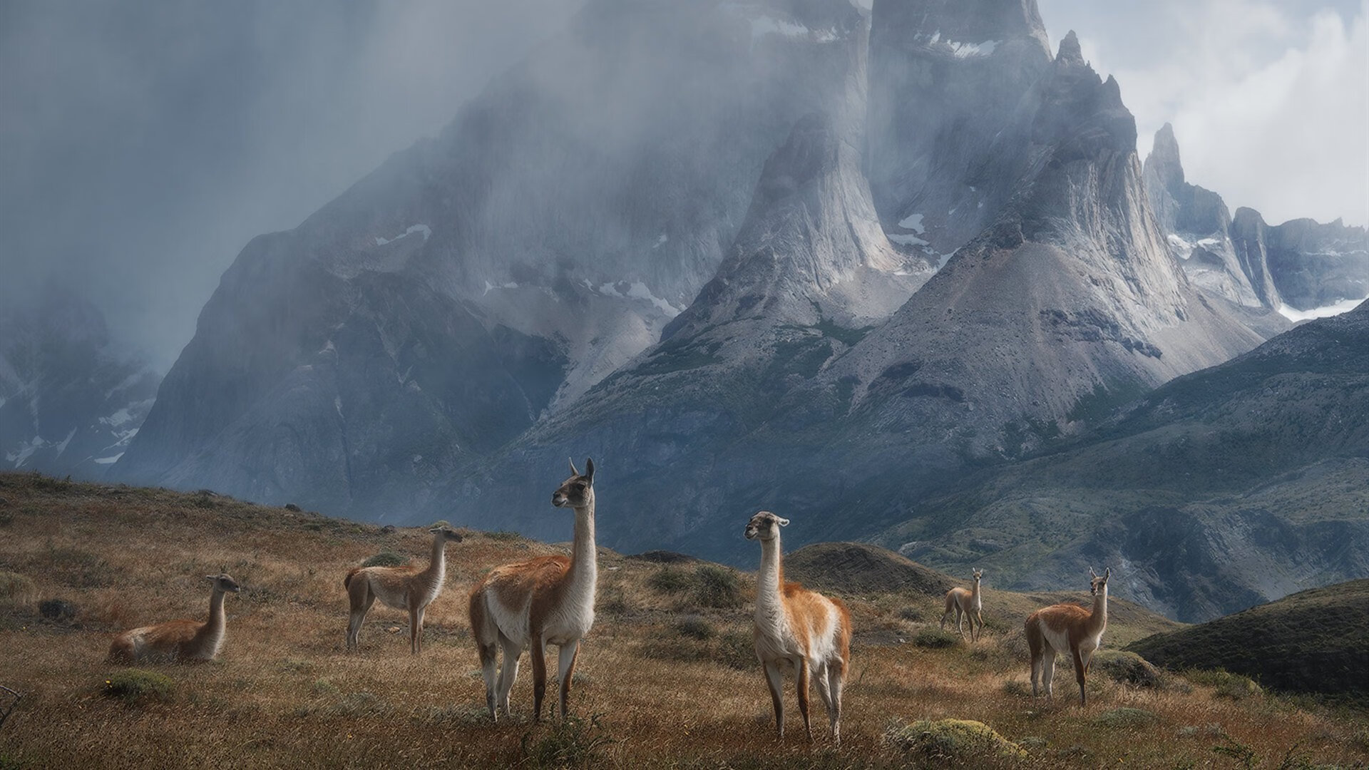 蓝海啸席卷红牛王朝，诺里斯领军，威廉姆斯绝地逆转的史诗之夜
