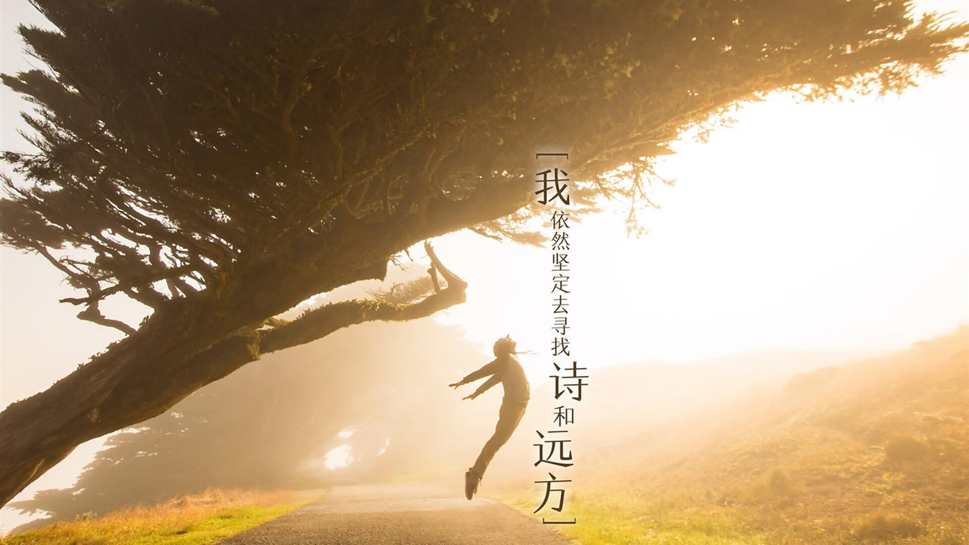 菜鸟屠龙夜，红牛二队新星击溃七冠王，汉密尔顿绝地逆转书写传奇