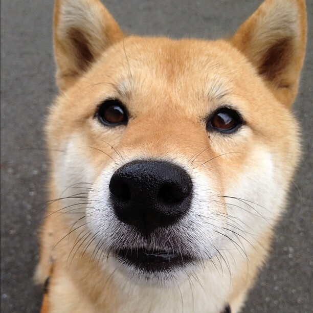 联合杯轻取温网，鲁德统治全场，新王改写网球秩序