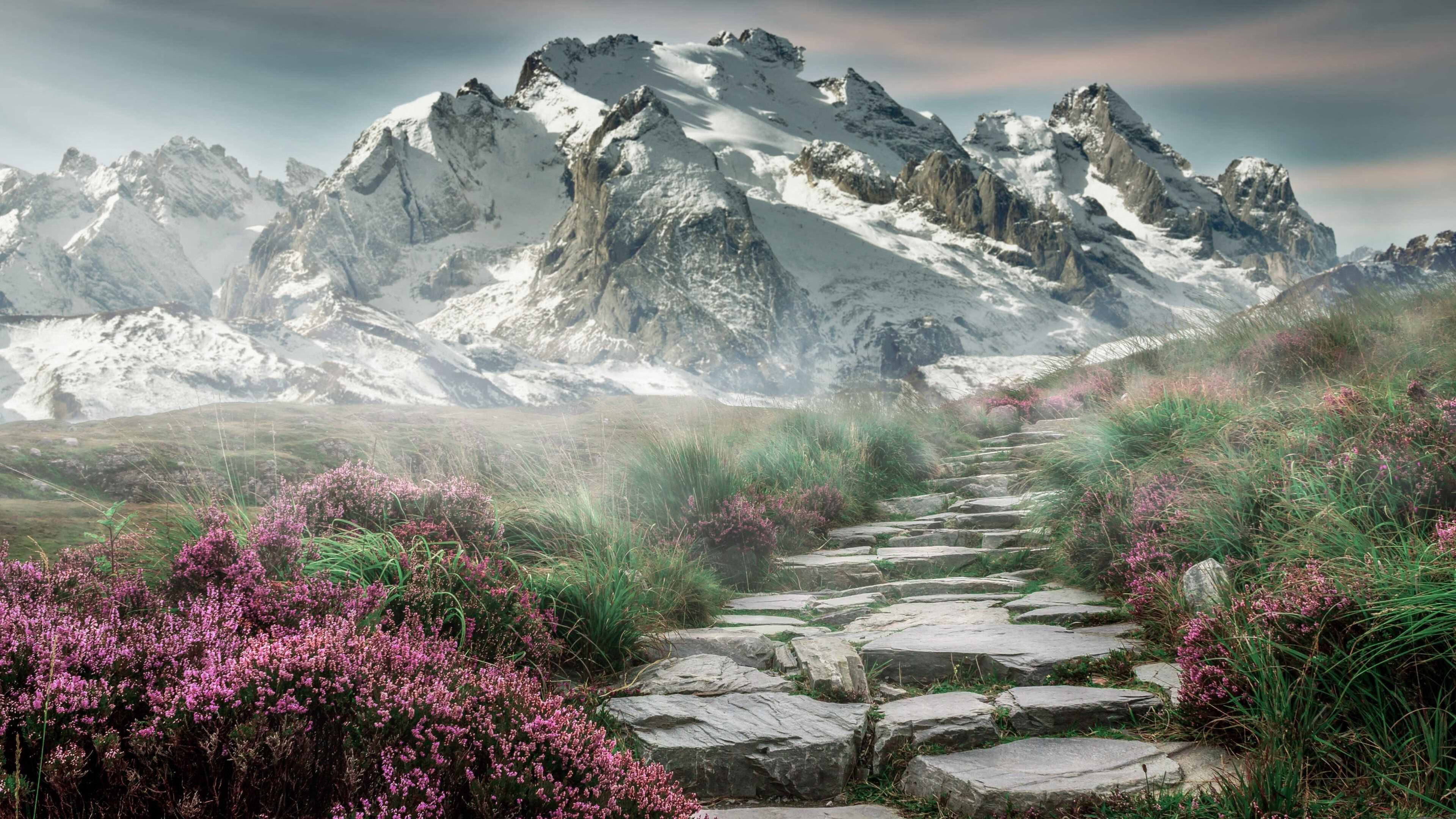 致命绝杀与铁血封盖!武切维奇从阴影走到聚光灯下,成为太阳横扫浙江的终极答案