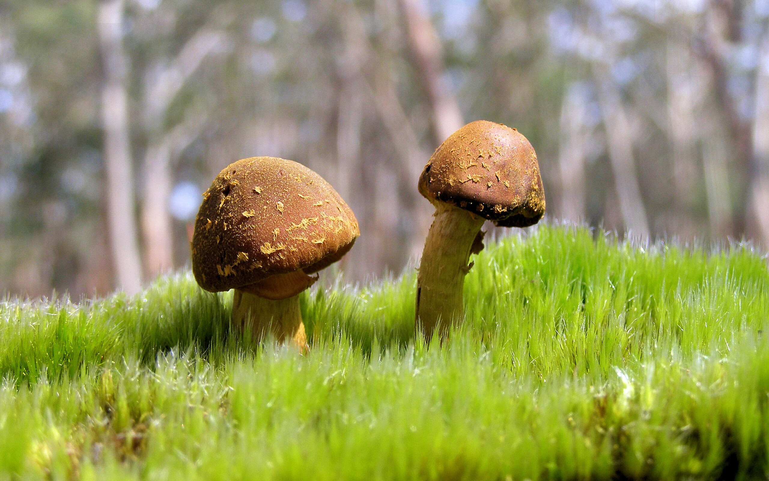 深海狂潮，当乔治的个人意志吞噬了团队的战术版图