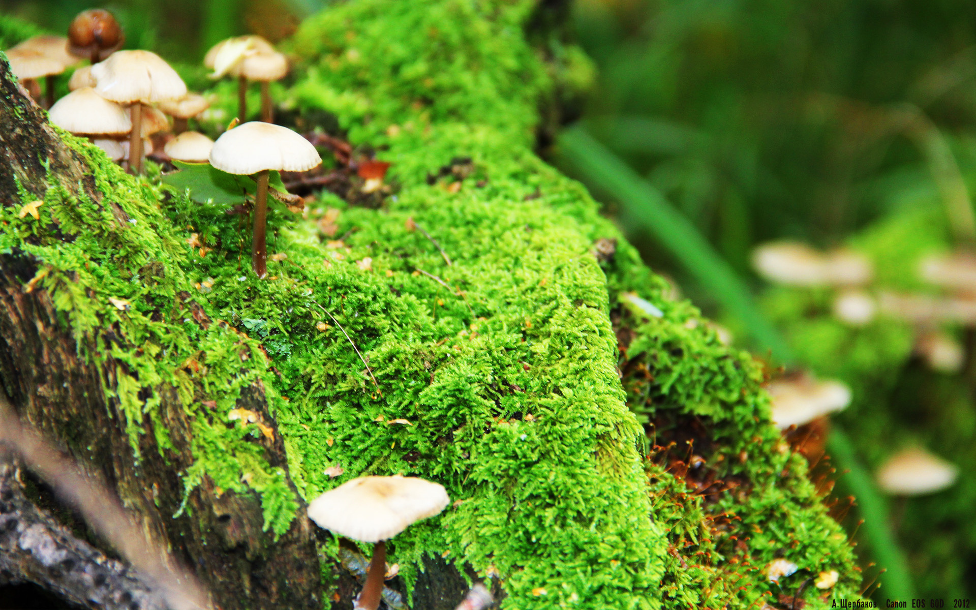 冷门引援成关键先生！皇马焦点战，奥利维耶完成自我救赎