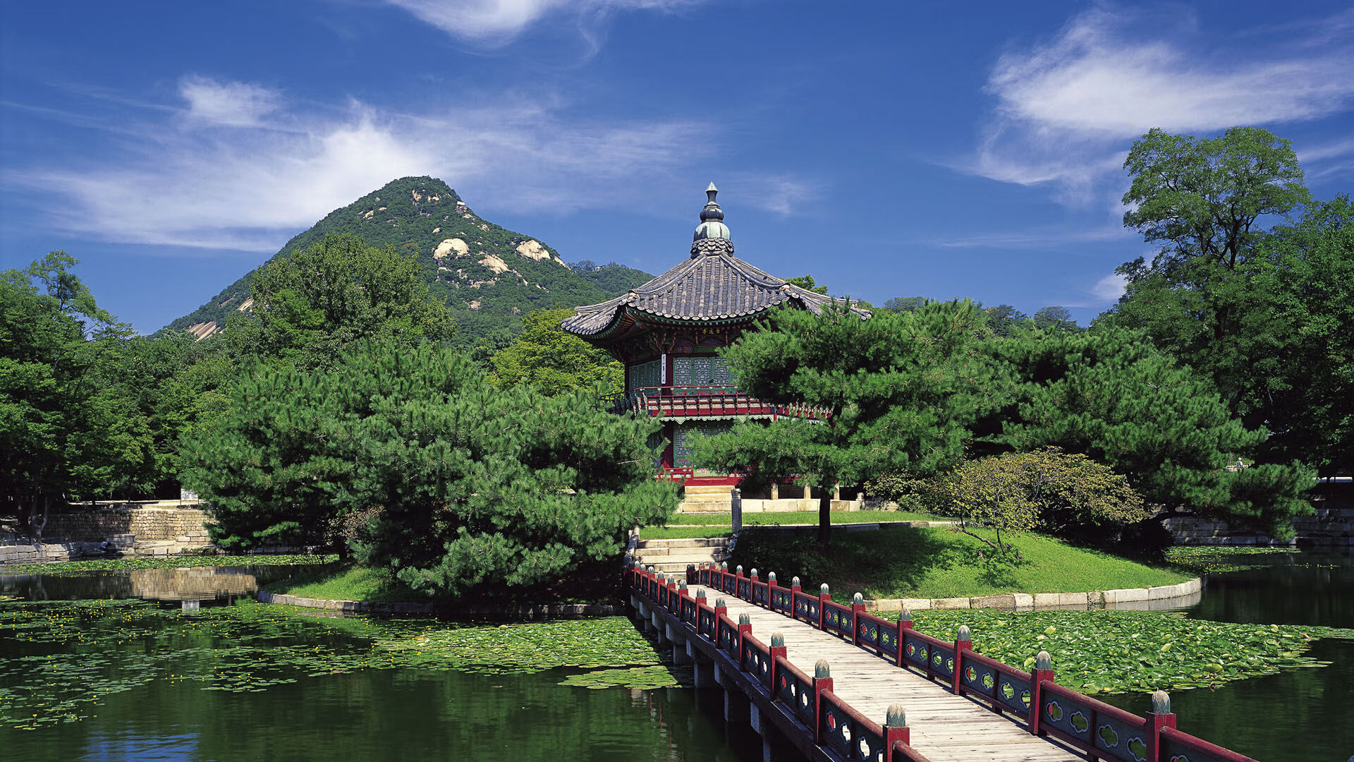 孤岛上的王座，米切尔之夜与一座城市的史诗