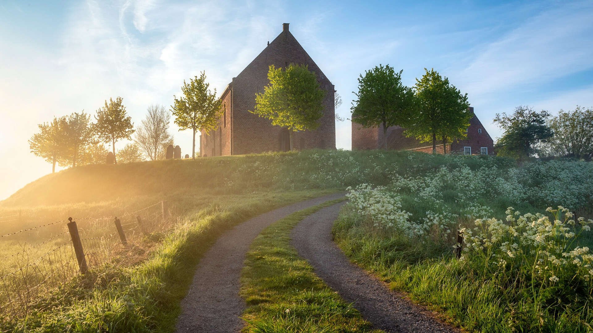 沸腾之夜，冰封之城，当塔图姆用60°的疯狂冻结明尼苏达的寒冬