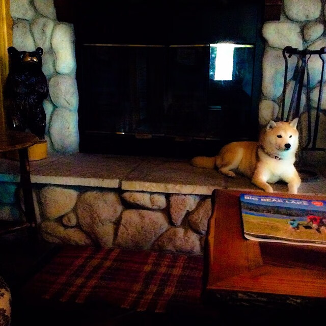 从诺坎普到首尔,加维以韩国为画布,在圣西罗的阴影下完成非典型证明