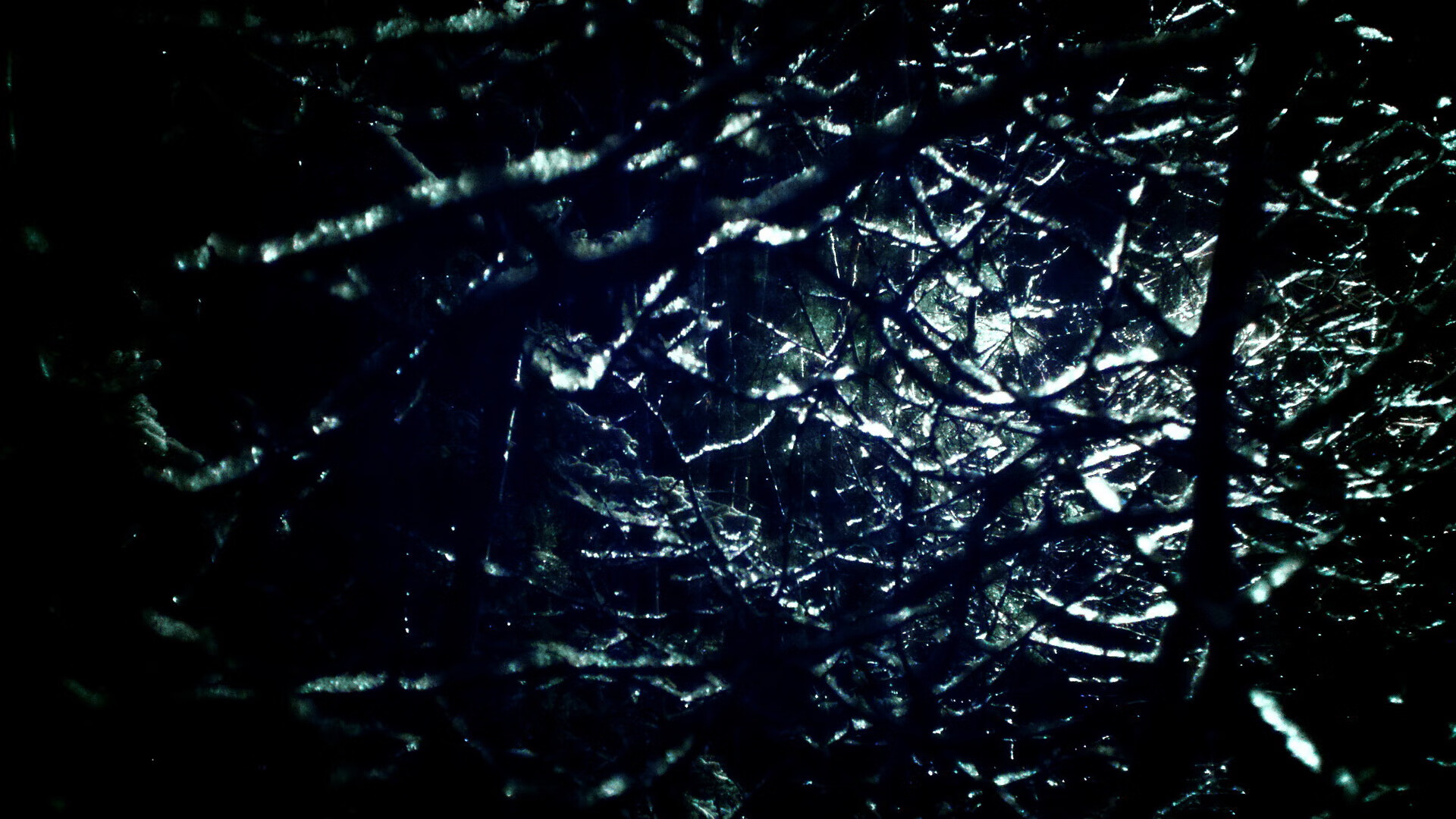 冰火之战,吉林单节绞杀独行侠,福克斯用东方智慧诠释关键先生