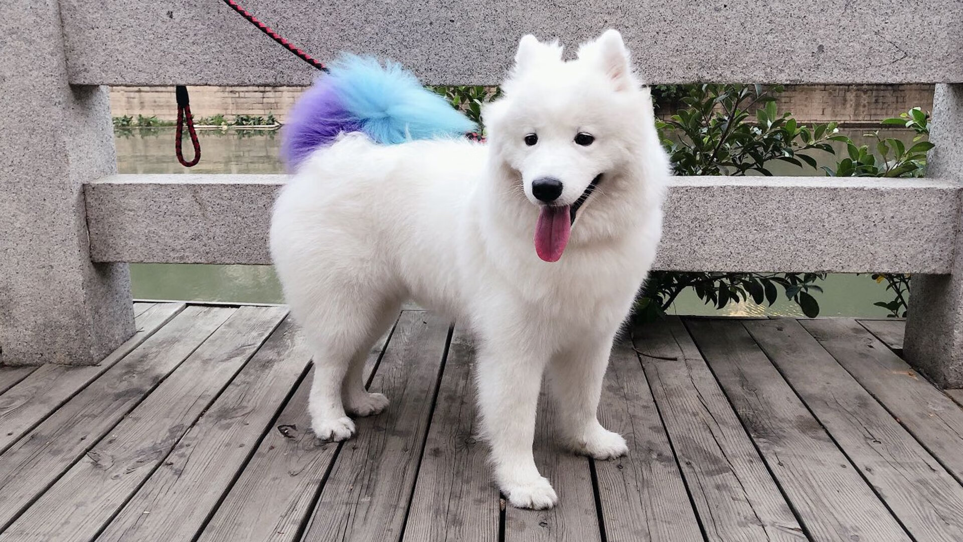 爱游戏在线-荷兰风暴摧毁苏格兰堡垒，世界杯赛场的残酷美学