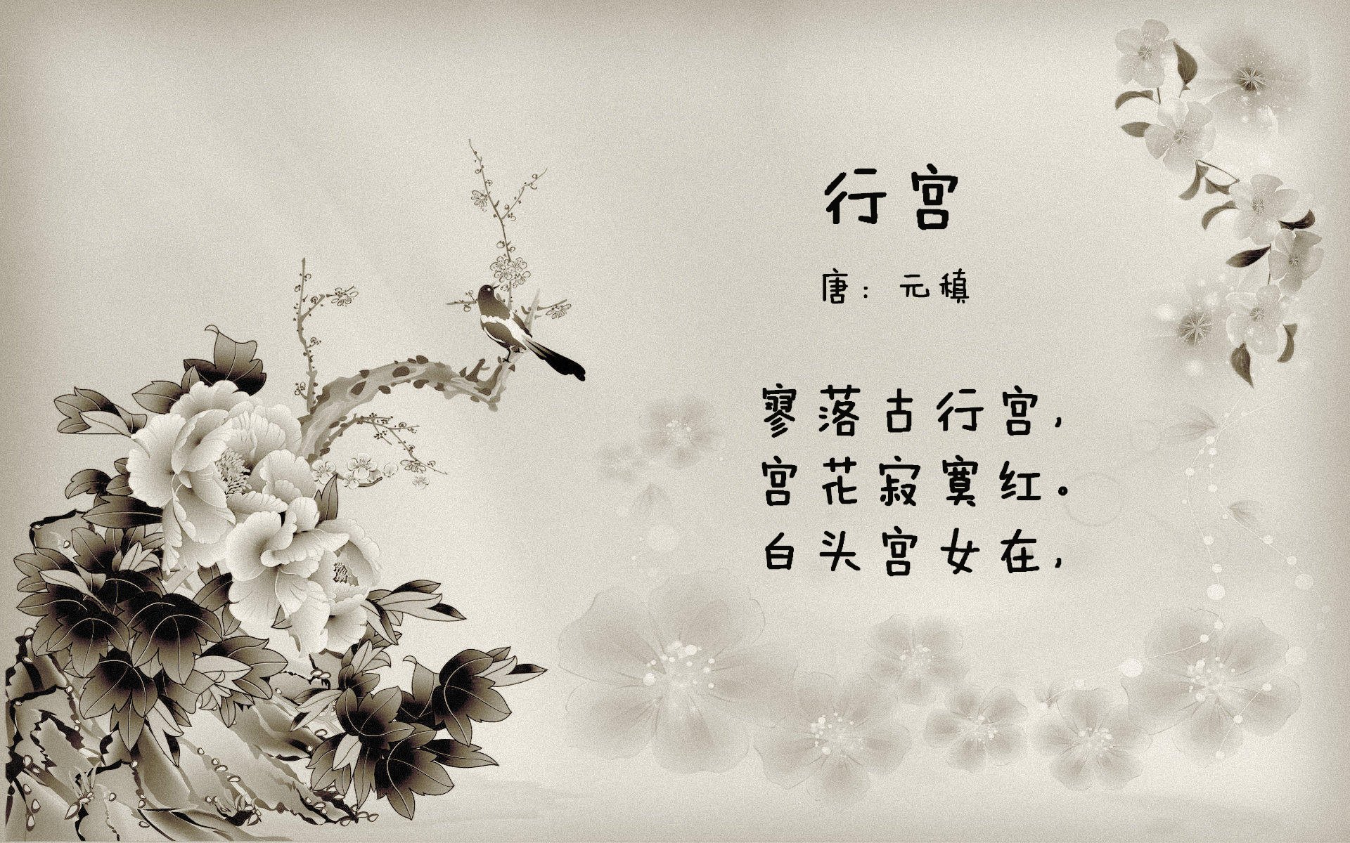 慕尼黑雨夜，莱万与非洲雄鹰的孤独对话