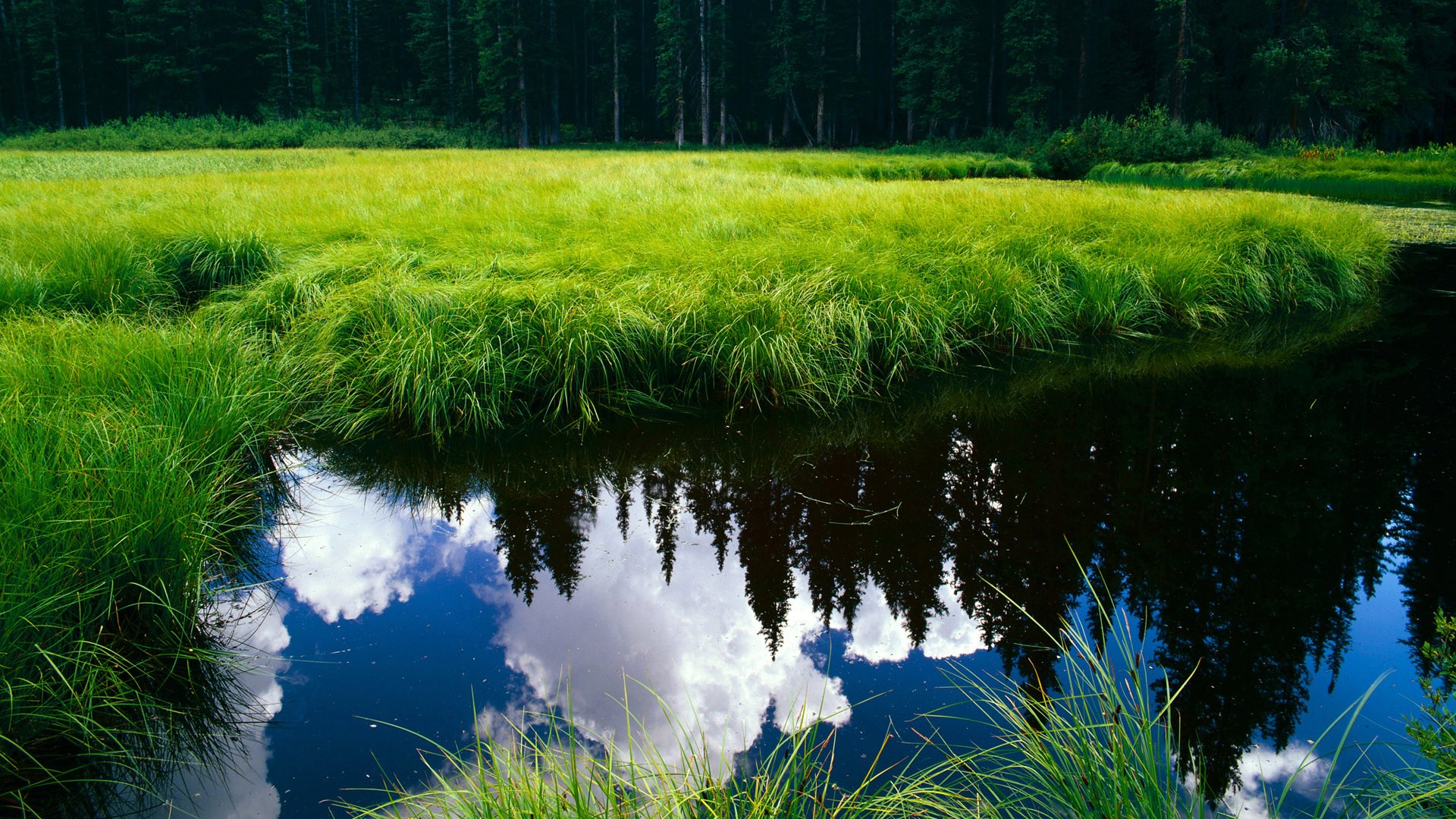跨越大洋的较量,布克狂飙50分,湖人主场强势击退广厦