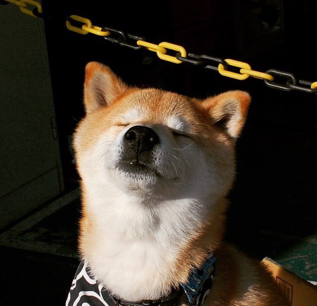 历史首次跨界之战!莫兰特47分导演惊天逆转,鹈鹕末节惊雷粉碎新疆不败神话