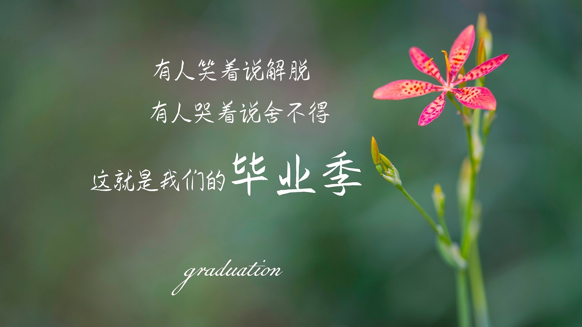 慈善赛惊现世纪冷门!姆巴佩客串绝杀,委内瑞拉爆冷击败曼联