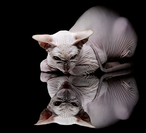 魔法丝线,内马尔在美加墨之夜的中场密码