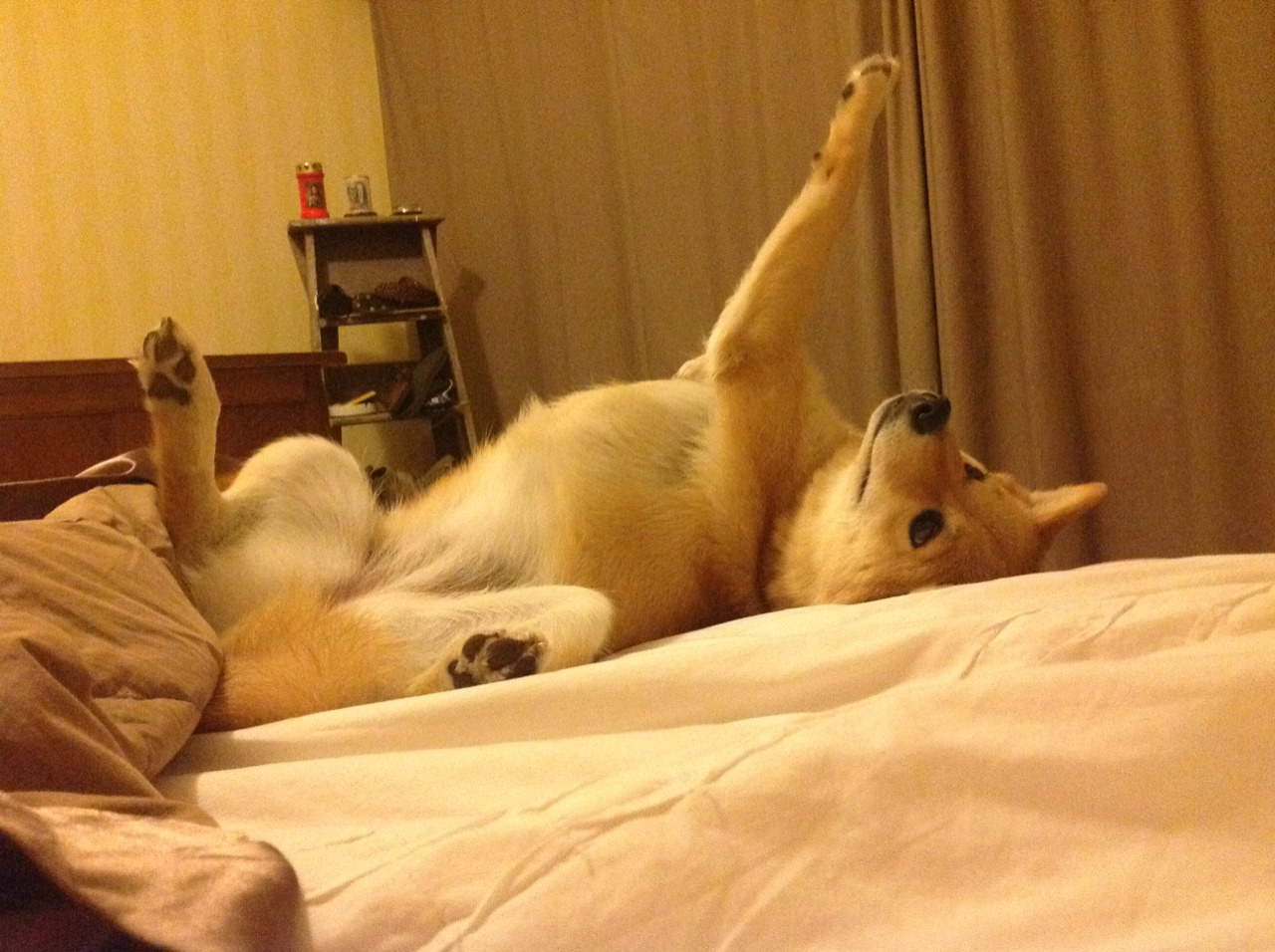 评分拉满的夜晚，英格拉姆为外援二字正名