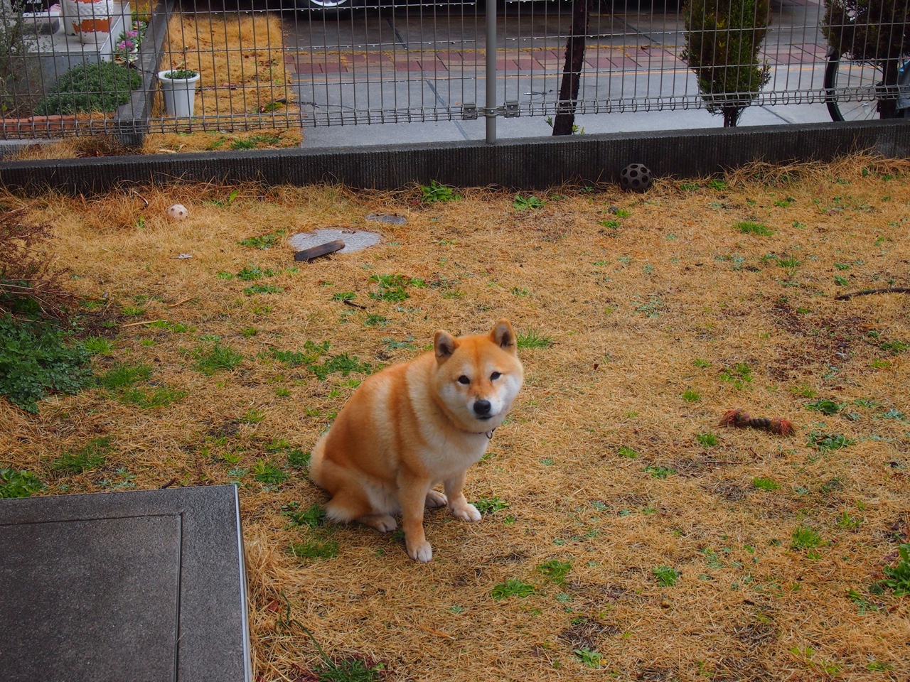 双星末节统治力，当詹姆斯无解背身与太阳灼烧时刻联手改天换地