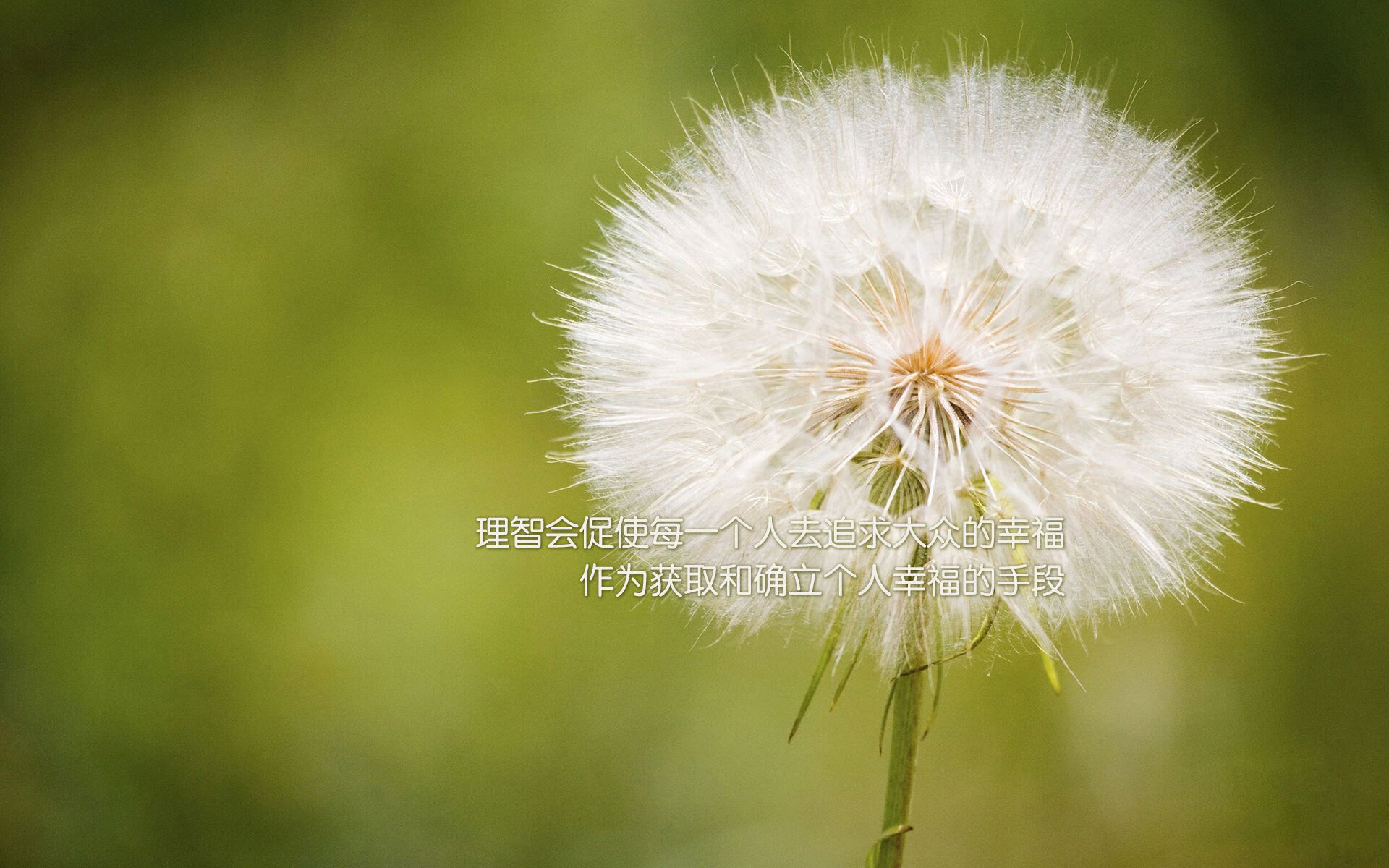 铁血蓝领的独舞，布罗佐维奇如何用隐形双腿，为斯洛伐克凿开2026世界杯的生死之门