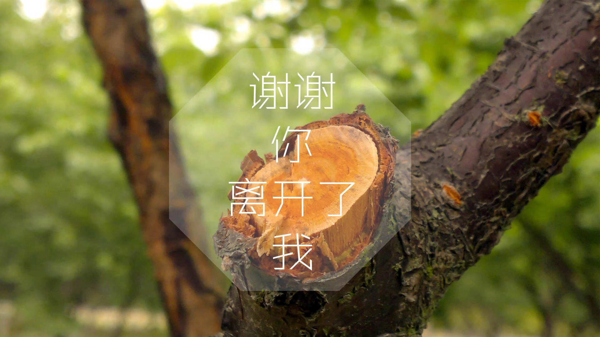 孤星闪耀,迪亚斯一剑封喉,喀麦隆门神铸就B组铁壁