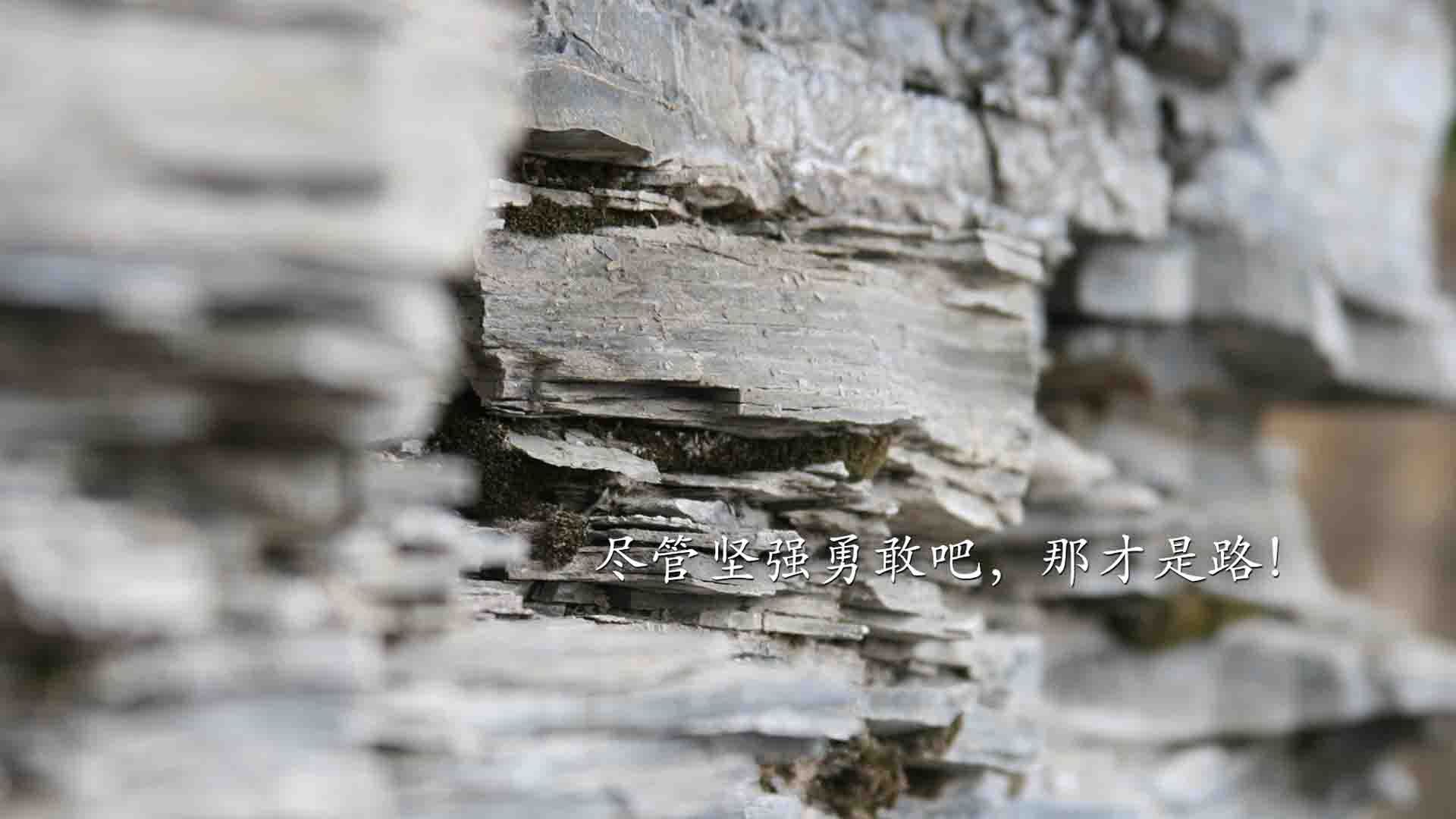 暗夜中的闪电,2026世界杯黑马之战,哥伦比亚碾压伊朗,登贝莱如何撕裂亚洲防线
