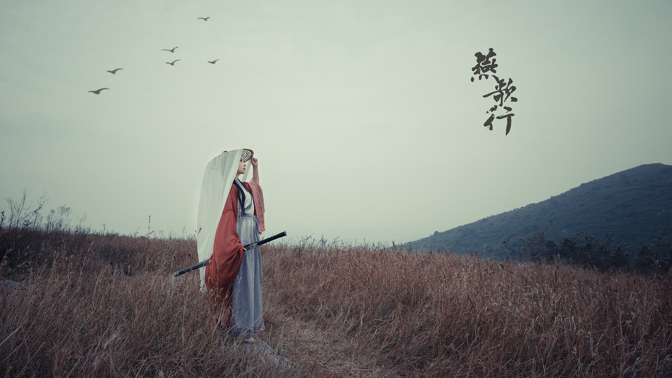 沙漠风暴席卷欧陆,2026世界杯H组,伊朗铁骑碾碎斯洛伐克,内马尔独舞点燃多哈之夜